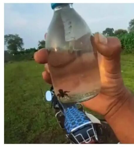 1283048-khairagarh-liquor-news