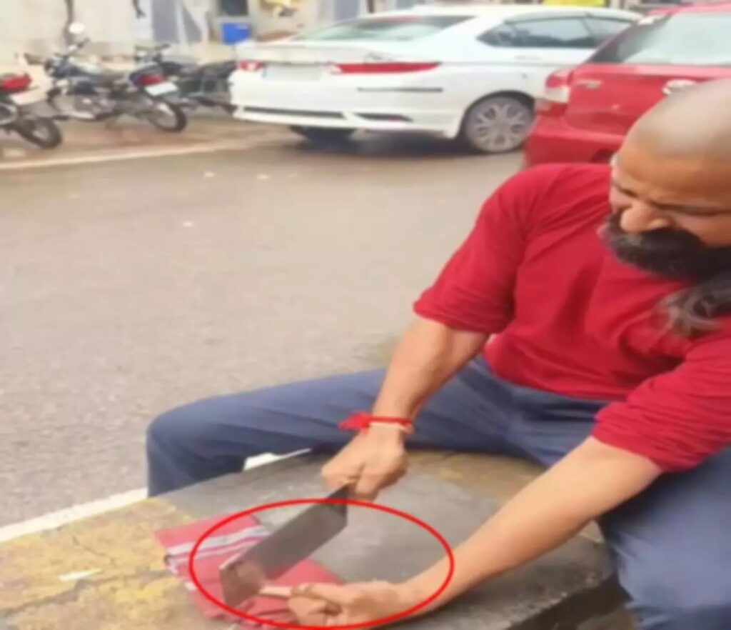 1283223-4855575-untitled-2-copy