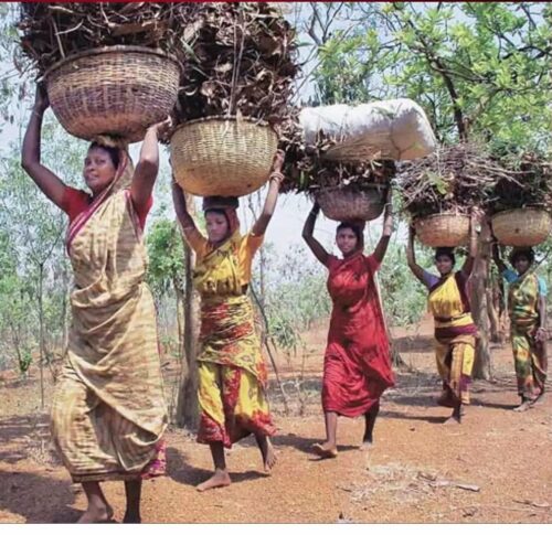 1298362-pesa-law-chhattisgarh