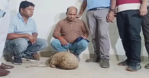 1500x900_1316888-hjhk1