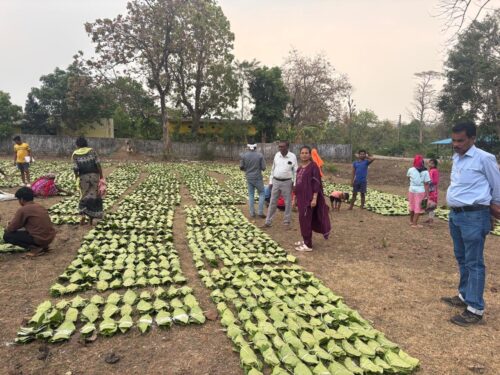 7be56da7-e13d-46a8-add5-4e7b5d24802a