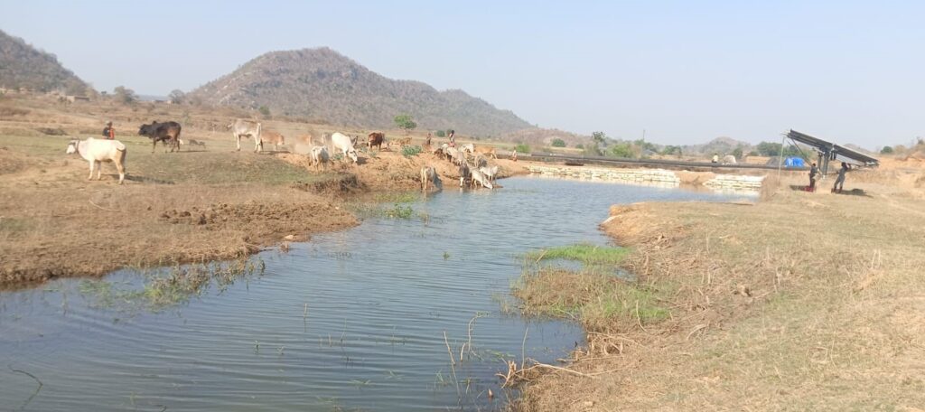 891f38c2-0801-4bf7-bbfb-4e958fdd8c02