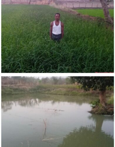 c1c4c128-0562-4820-810c-56103f32f35a