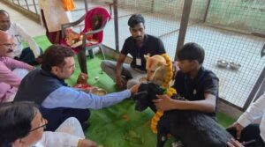 आवारा कुत्तों के नसबंदी केंद्र का शुभारंभ: महापौर ने अनोखे अंदाज में की आवारा कुत्तों की पूजा, माला पहनाकर उतारी आरती