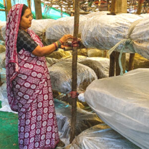 मुख्यमंत्री साय के नेतृत्व में ग्रामीण महिलाओं की आत्मनिर्भरता को मिल रही नई उड़ान