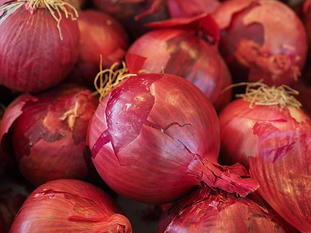 onion_compressed_150_250kb