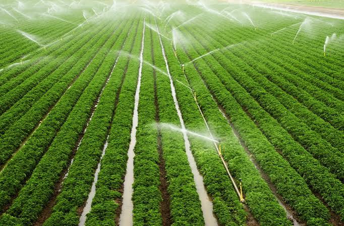 2026-09-07-05-30-01-14