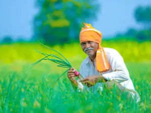 farmer