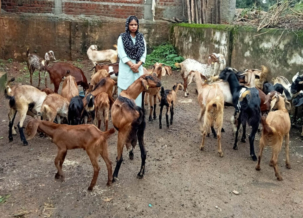 hinaa