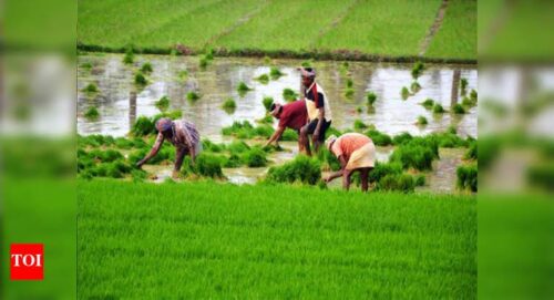 kisan
