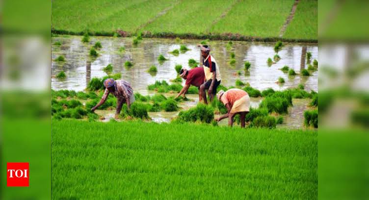 kisan