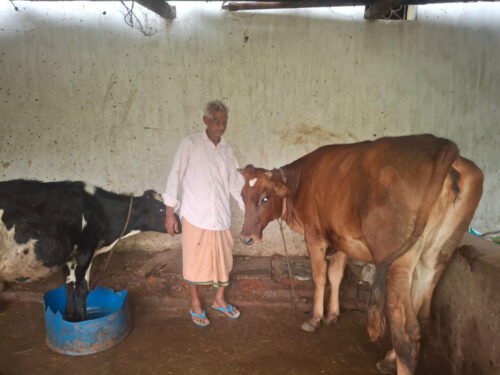 pashu palan