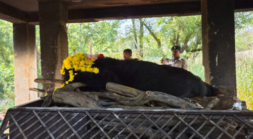 121