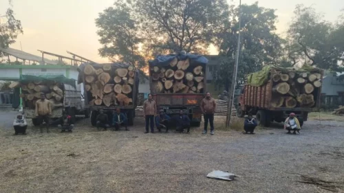 Des-25_0501-860x48411