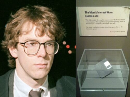 Malagasy-leaf-nosed-snake-2025-0