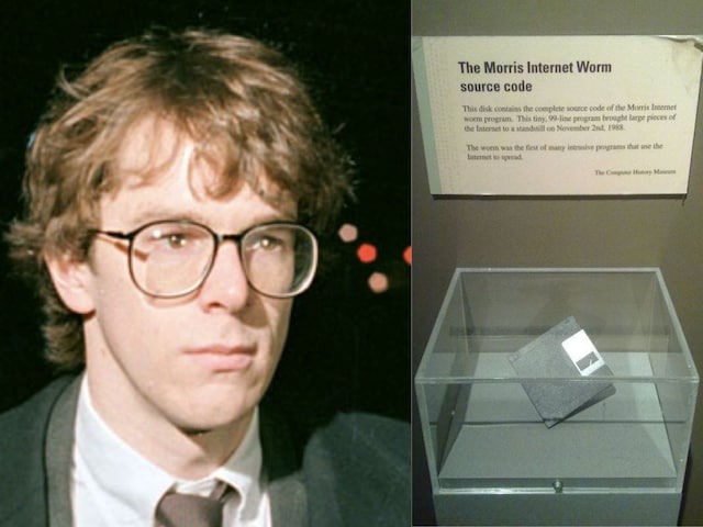 Malagasy-leaf-nosed-snake-2025-0