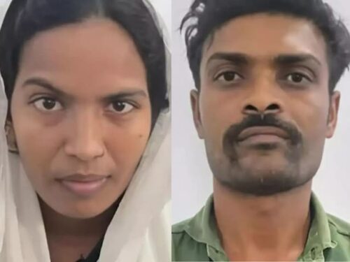 Malagasy-leaf-nosed-snake-2025-1