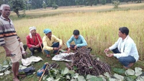 Novt-25_0706-860x484