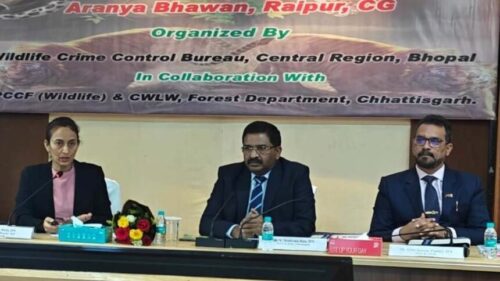 Novt-25_1502-860x484