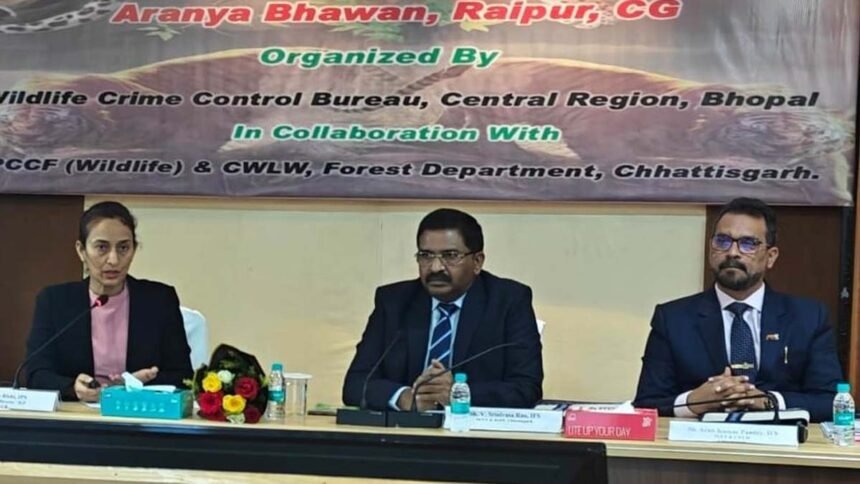 Novt-25_1502-860x484