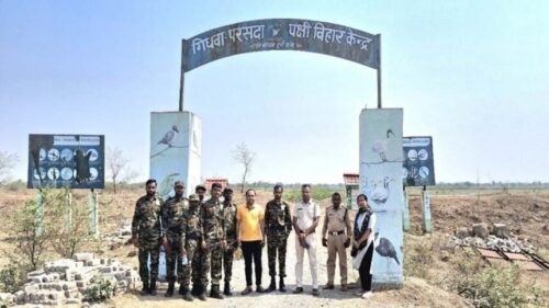 Novt-25_2102-860x484