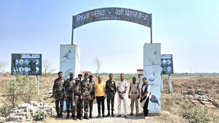 Novt-25_2102-860x484