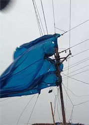 bijli