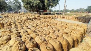 छत्तीसगढ़ धान घोटाला: 250 करोड़ के चावल का हिसाब नहीं, ‘सरकारी चूहों’ पर फिर ठीकरा
