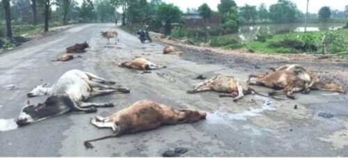 image_750x_687751f29ff53