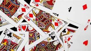 पुलिस की सर्जिकल स्ट्राइक: जंगल में जुआ खेलते 4 लोग गिरफ्तार, 5 बाइक और नगदी जब्त