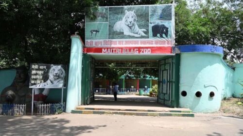 maitri garden