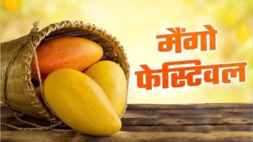 mango festival