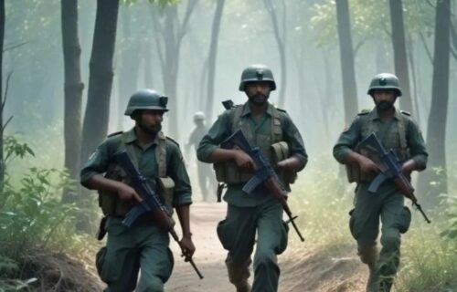 sainik