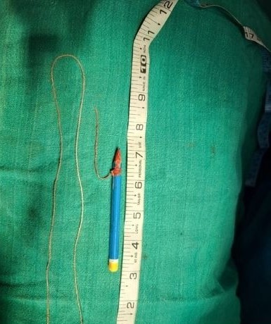 tirandaj.com-2025-09-24T171459.0